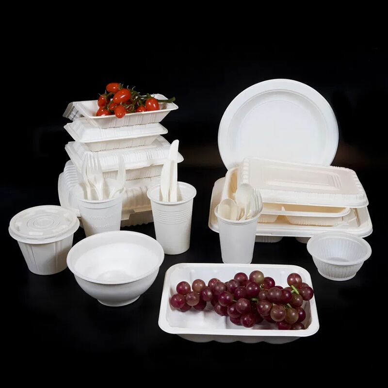 High Quality Biodegradable Cornstarch Disposable Bowl Salad Dessert Bowl - Image 4