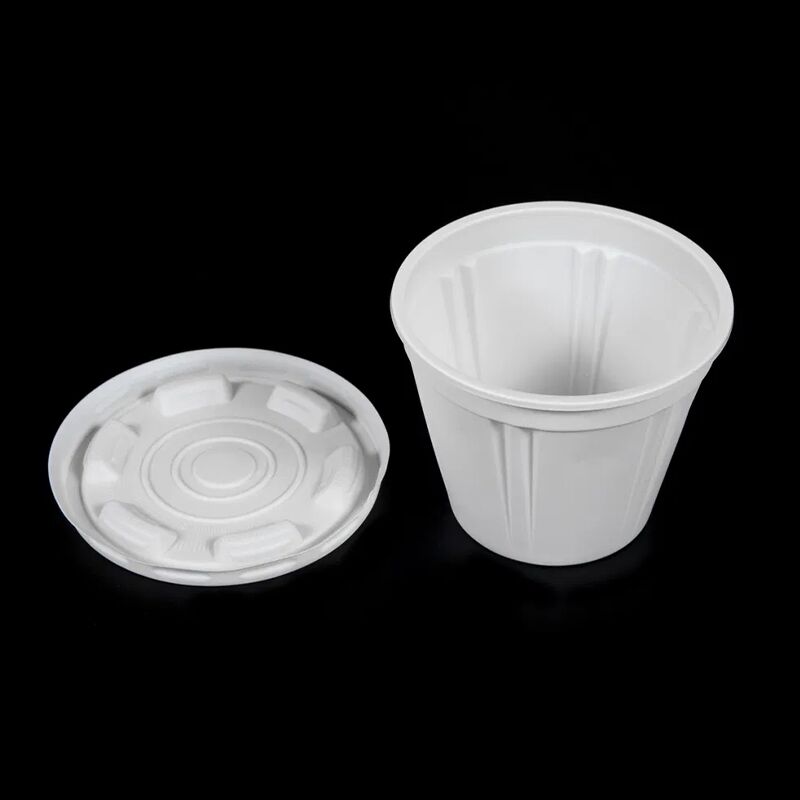 High Quality Biodegradable Cornstarch Disposable Bowl Salad Dessert Bowl - Image 3