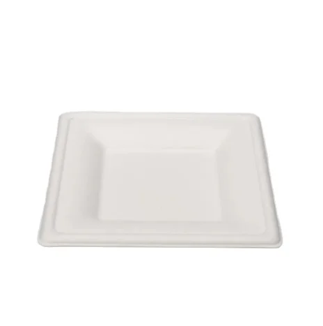 Disposable Bagasse Tray Airline Catering